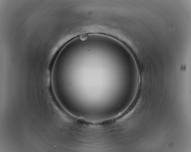 X0000091471509200708161348