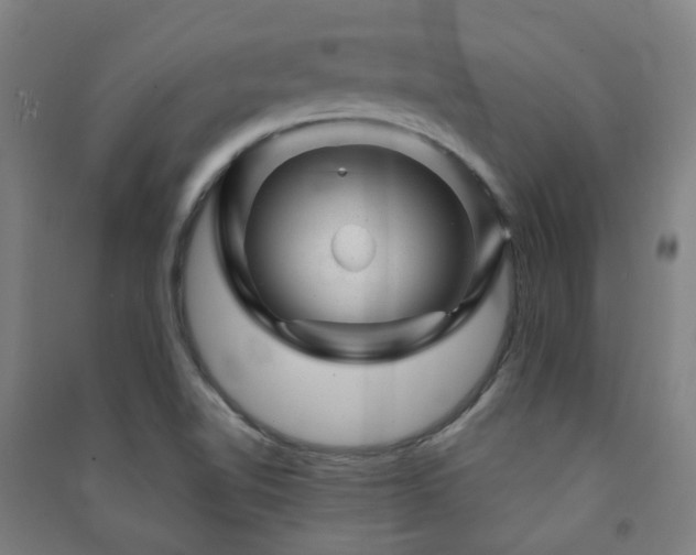 X0000091471510200708161348