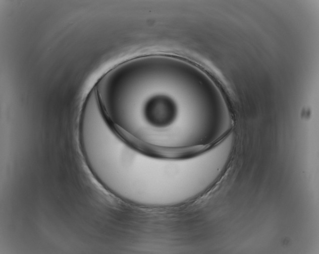 X0000091471512200708161348