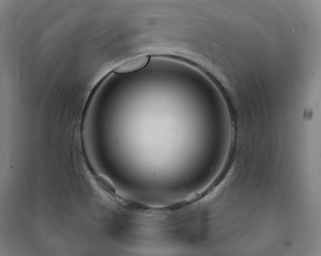 X0000091471513200708161348