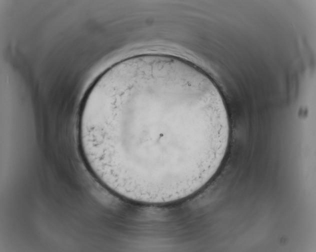 X0000091471514200708161348