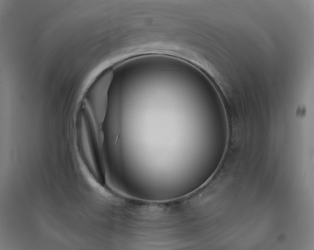 X0000091471515200708161348
