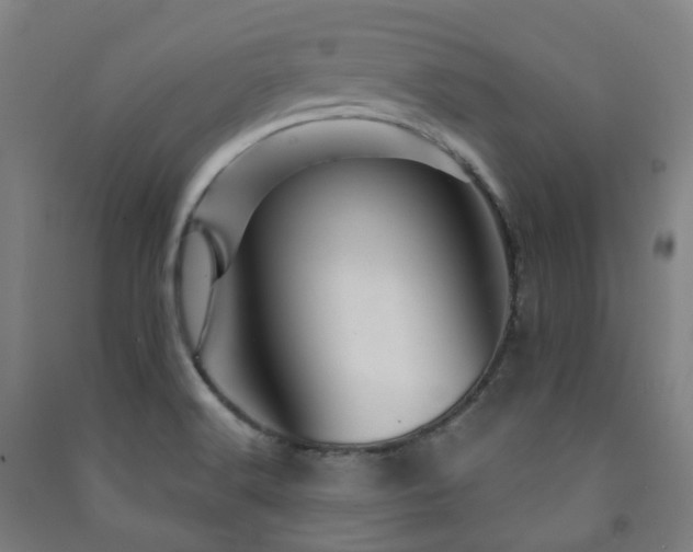 X0000091471516200708161348