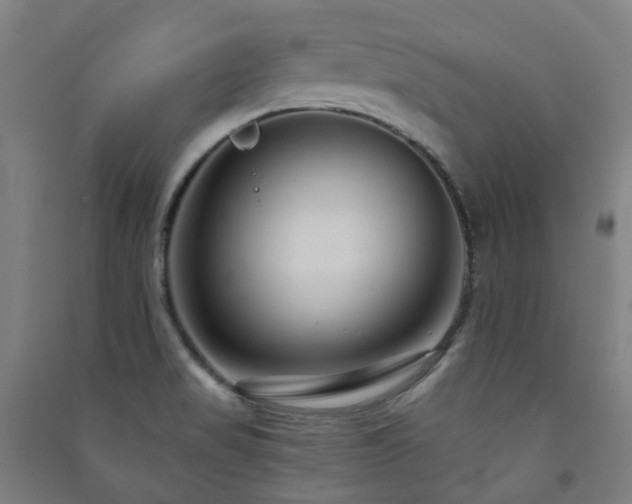 X0000091471517200708161348