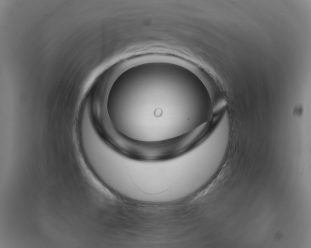 X0000091471518200708161348