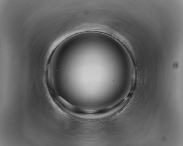 X0000091471520200708161348