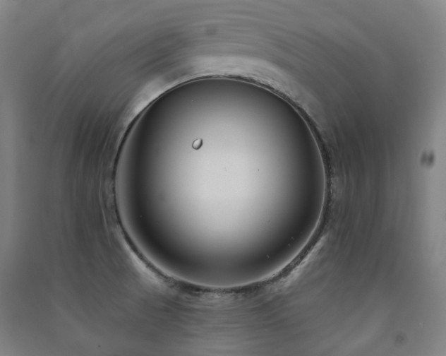 X0000091471521200708161348