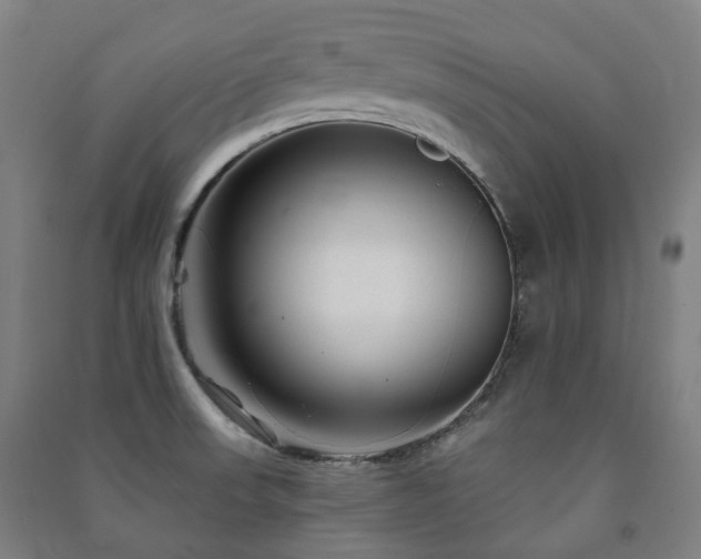 X0000091471523200708161348