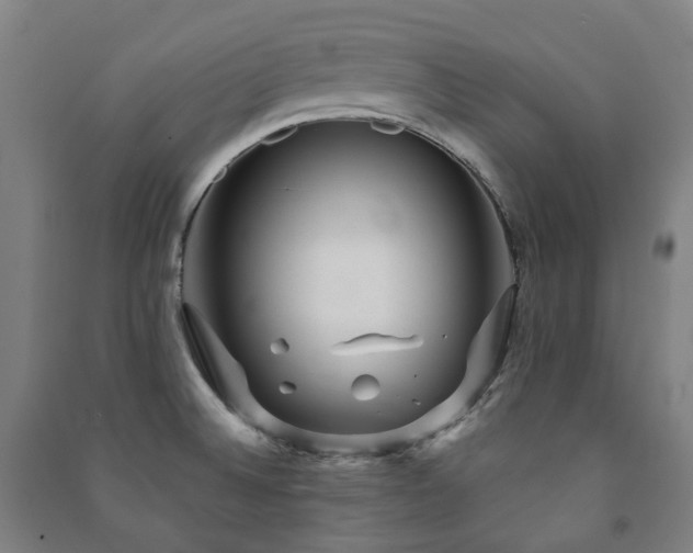 X0000091471524200708161348