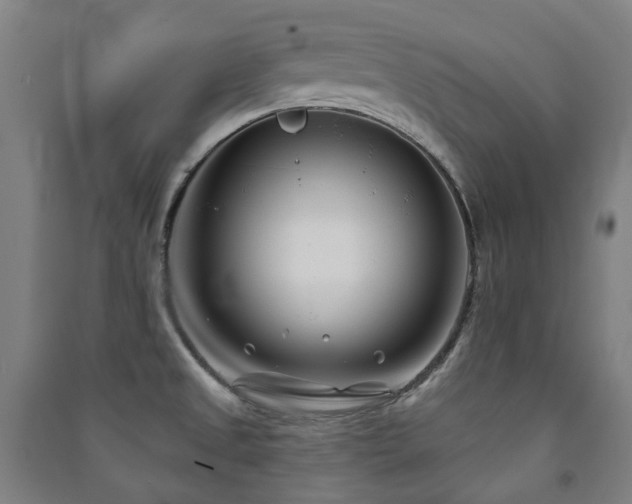 X0000091471525200708161348