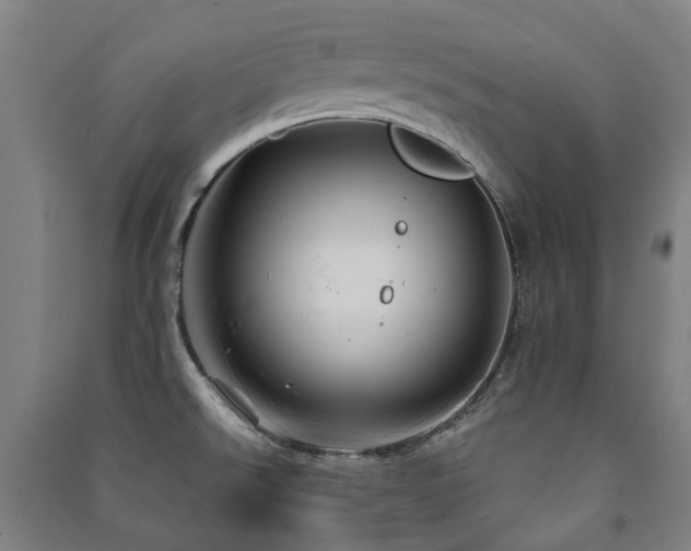 X0000091471526200708161348