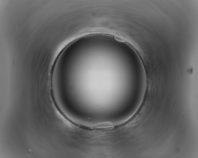 X0000091471527200708161348