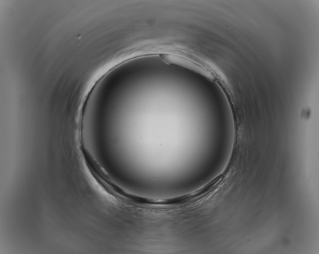 X0000091471528200708161348