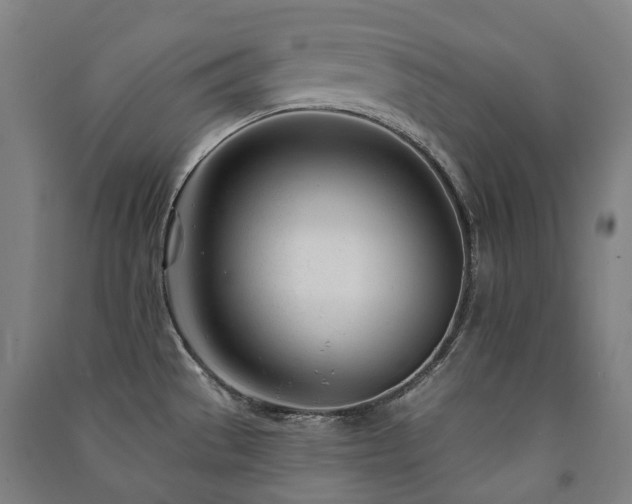 X0000091471529200708161348