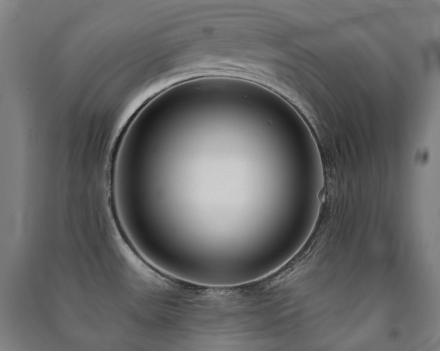 X0000091471531200708161349