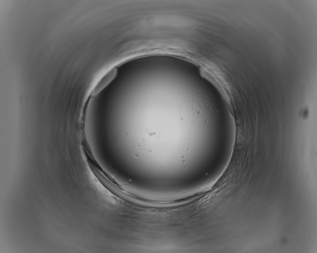 X0000091471532200708161349