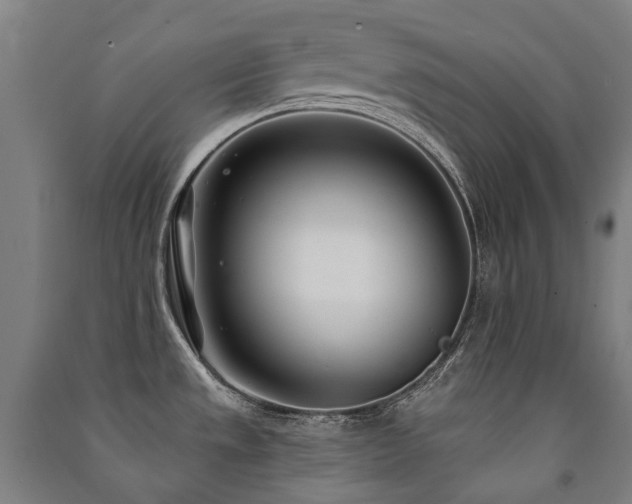 X0000091471533200708161349