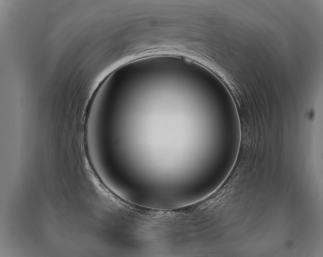 X0000091471534200708161349