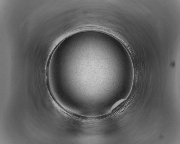 X0000091471535200708161349