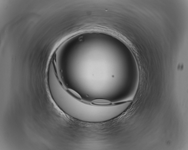 X0000091471536200708161349