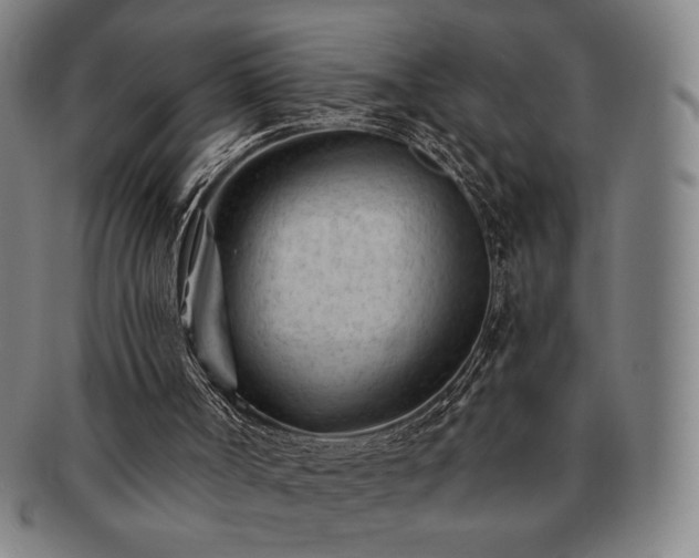 X0000091470002200708231348