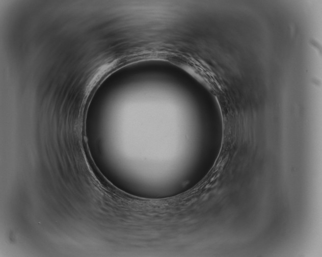 X0000091470003200708231348