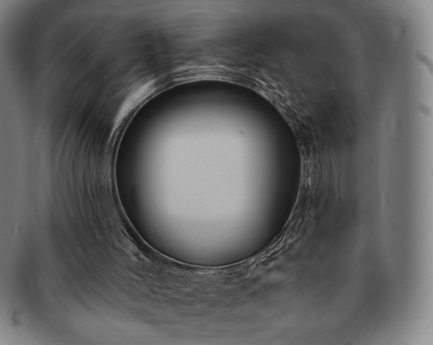 X0000091470004200708231348