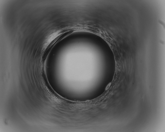 X0000091470005200708231348