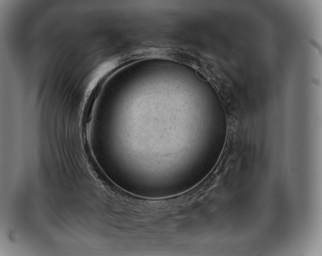 X0000091470006200708231348