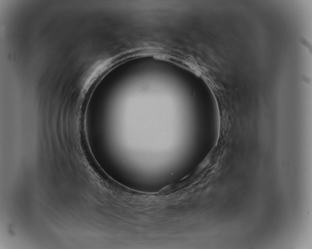 X0000091470007200708231348