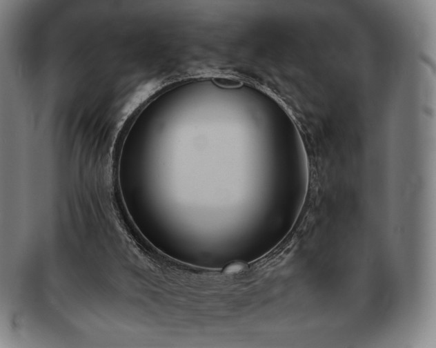 X0000091470008200708231348