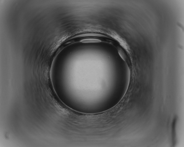 X0000091470009200708231348