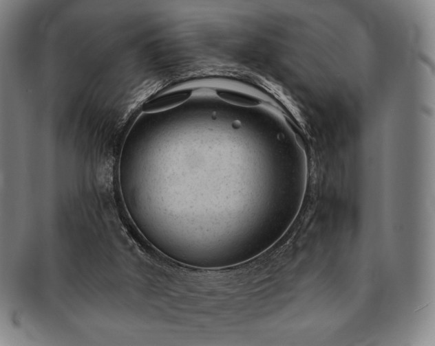 X0000091470010200708231348