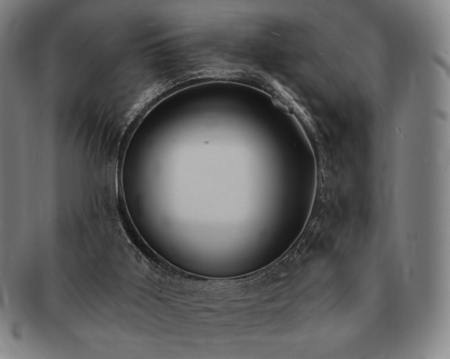 X0000091470011200708231348