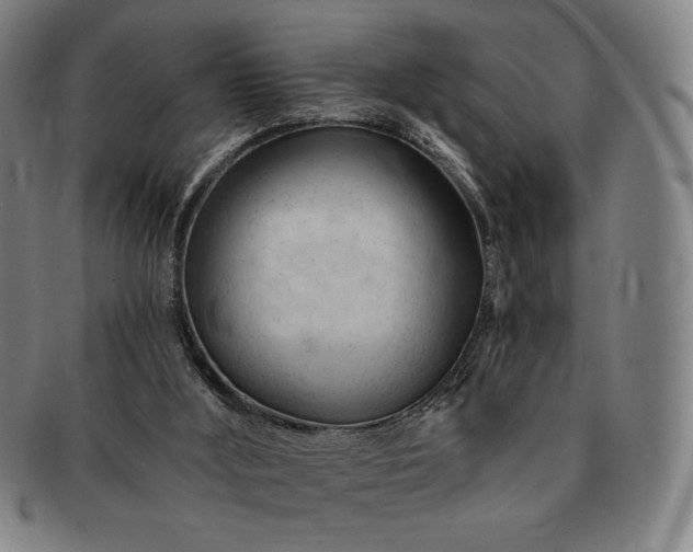 X0000091470012200708231348