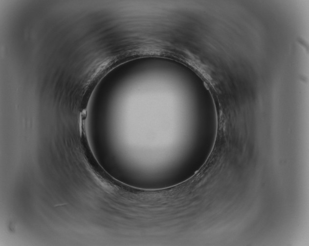 X0000091470013200708231348