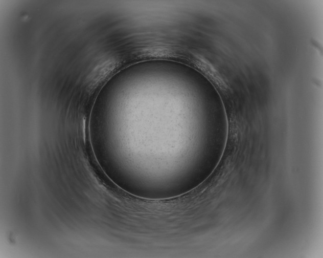 X0000091470014200708231348