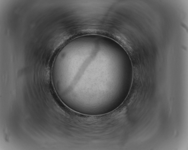 X0000091470016200708231348