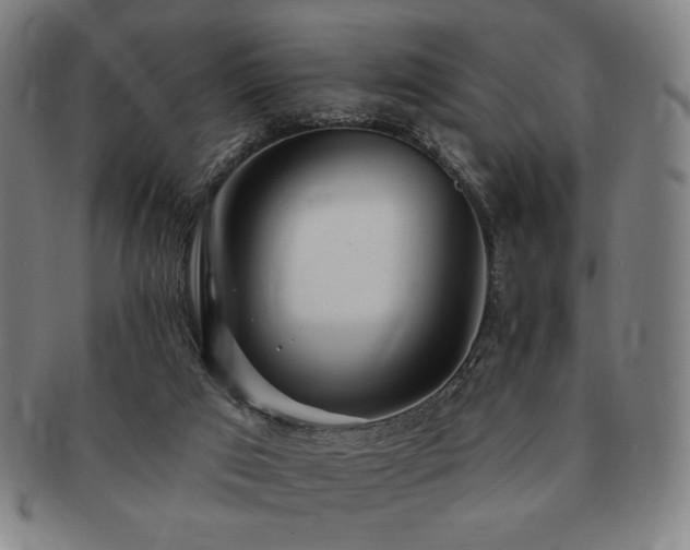 X0000091470017200708231348