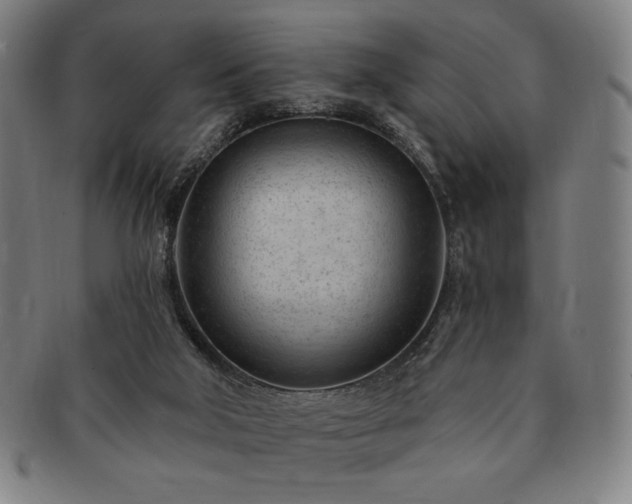 X0000091470018200708231348