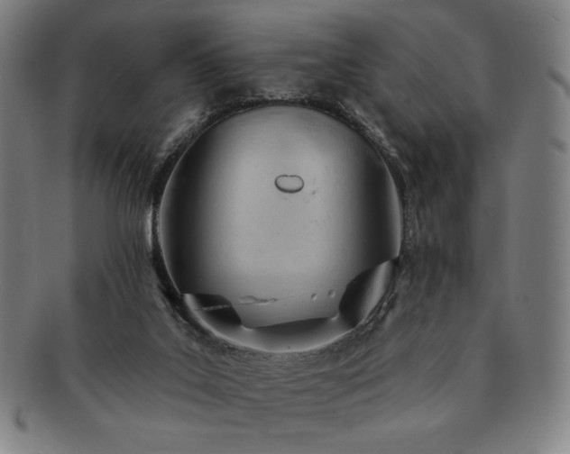 X0000091470019200708231348