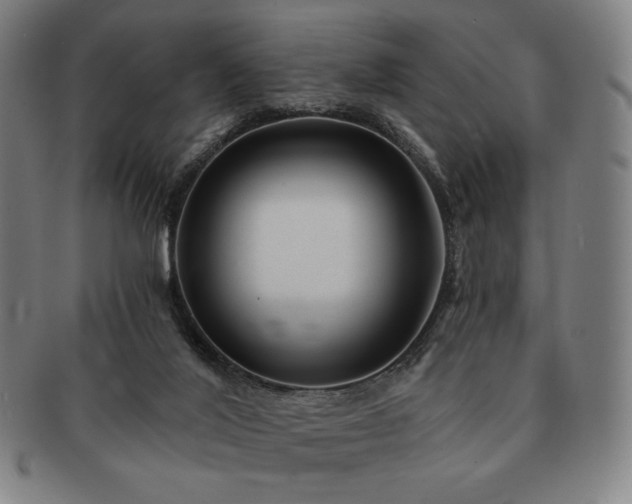 X0000091470020200708231348