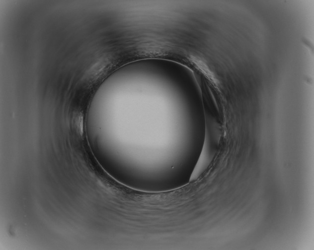 X0000091470021200708231348