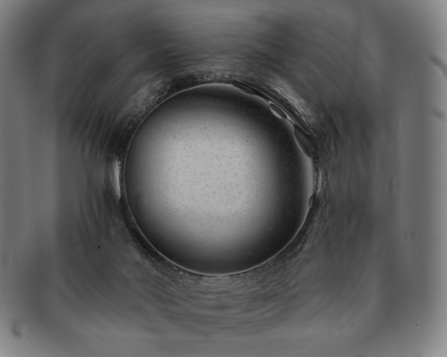 X0000091470022200708231348