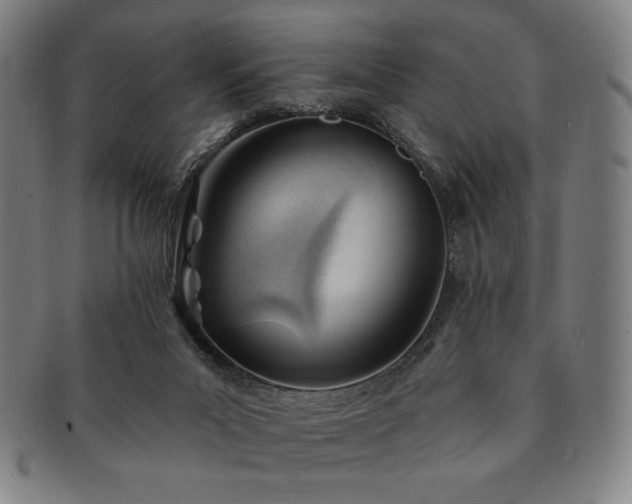 X0000091470023200708231348