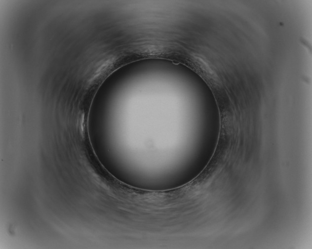 X0000091470024200708231348