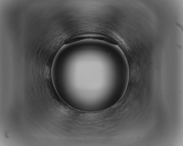 X0000091470025200708231348