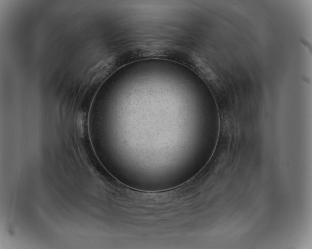 X0000091470026200708231348