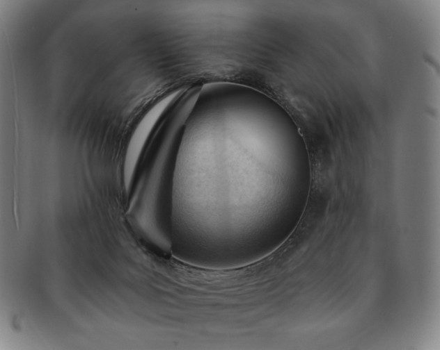 X0000091470027200708231348