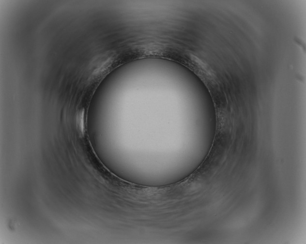 X0000091470028200708231348